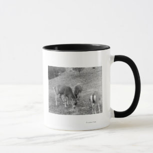 Group of Deer at Hot Springs Photograph Mug