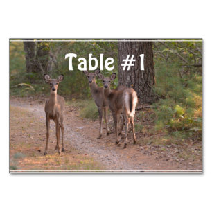 Group of Deer Table Number