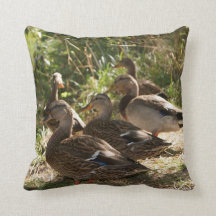 Group Of Ducks, Throw Pillow