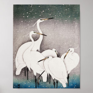 Group of Egrets Poster