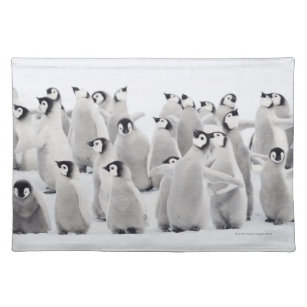 Group of Emperor penguins (Aptenodytes forsteri) Placemat
