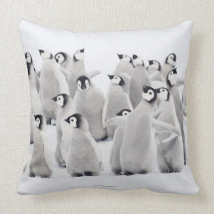 Group of Emperor penguins (Aptenodytes forsteri) Throw Pillow