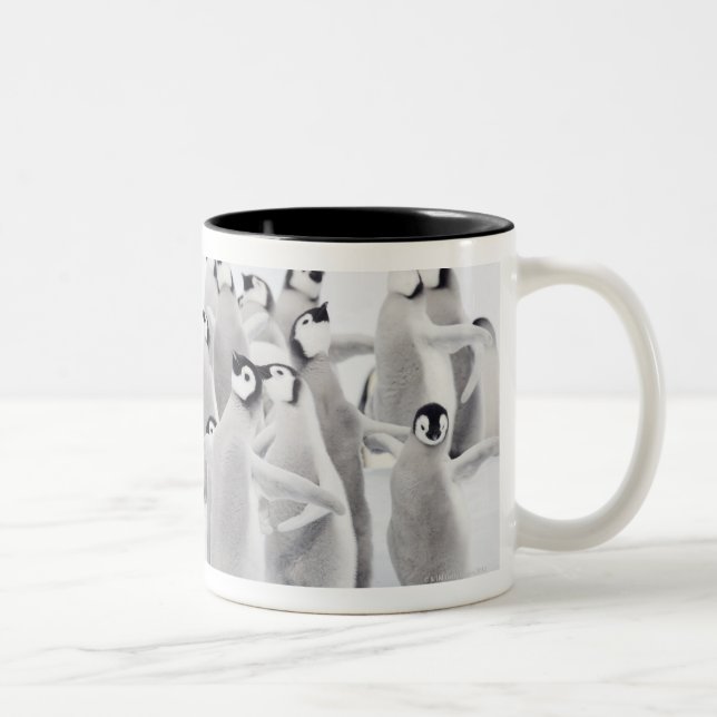 Group of Emperor penguins (Aptenodytes forsteri) Two-Tone Coffee Mug (Right)