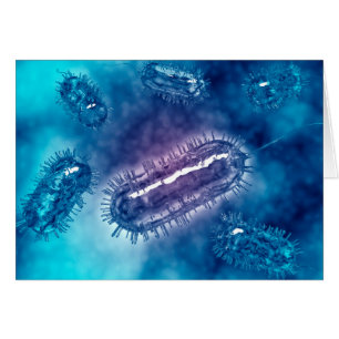 Group Of Escherichia Coli Bacteria Cells 1