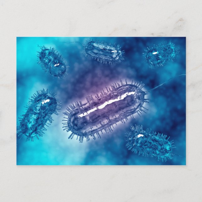 Group Of Escherichia Coli Bacteria Cells 1 Postcard (Front)