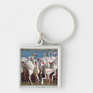 Group of flamingos in Camargue Keychain