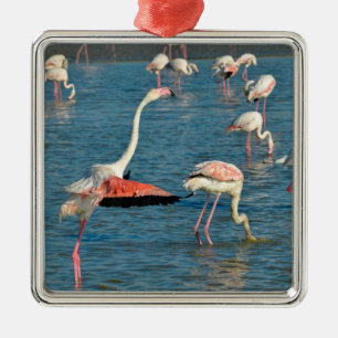 Group of flamingos in Camargue Metal Ornament