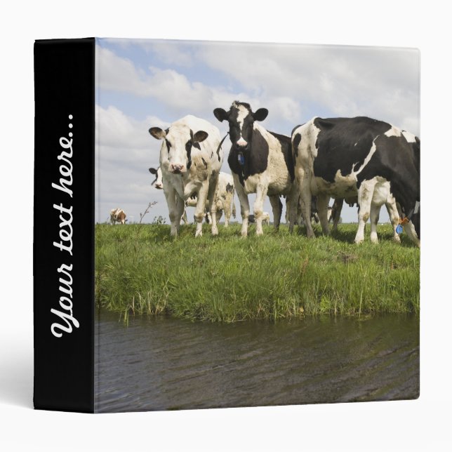 Group of Friesian cows Binder (Front/Spine)