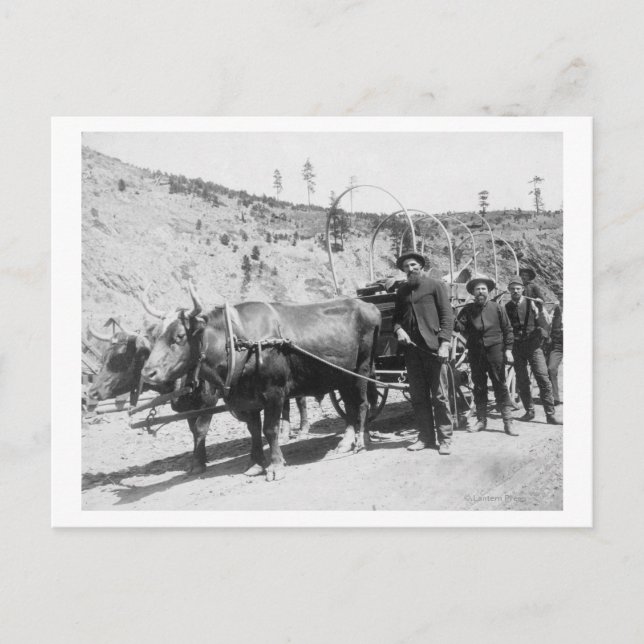 Group of Gold Prospectors Photograph Postcard (Front)