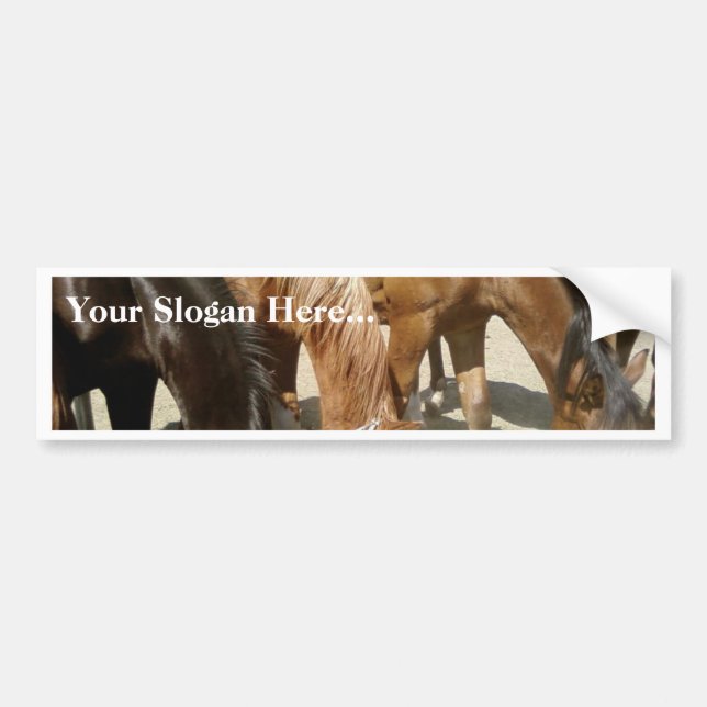 Group Of Horses Bumper Sticker (Front)