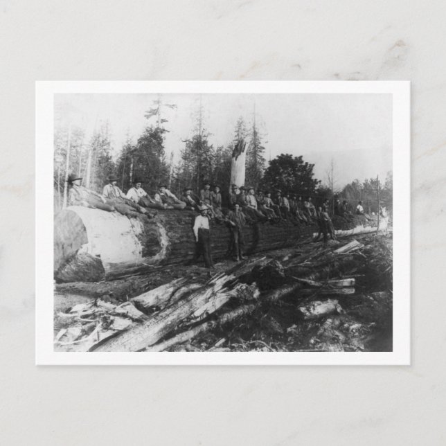 Group of Lumberjacks on Large Log Photograph Postcard (Front)