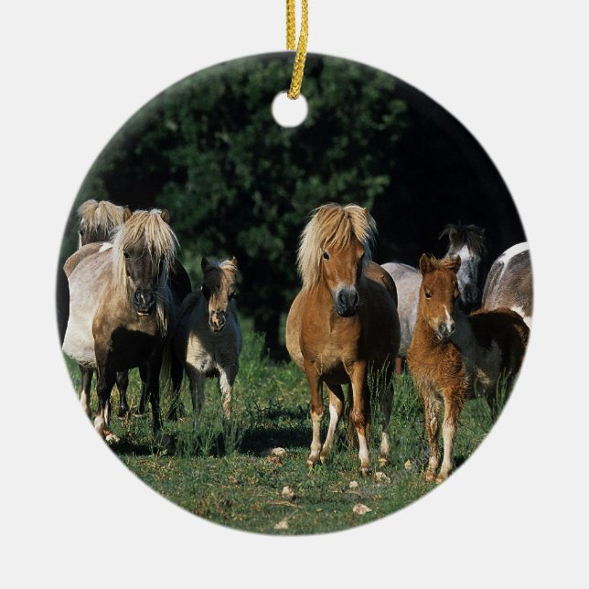 Group of Miniature Foals Ceramic Ornament (Front)
