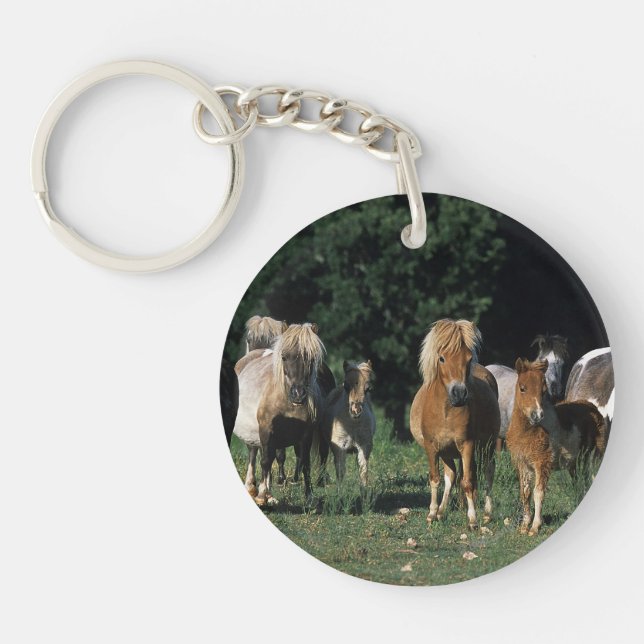 Group of Miniature Foals Keychain (Front)