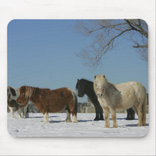 Group of Miniature Horses in the Snow Mouse Pad