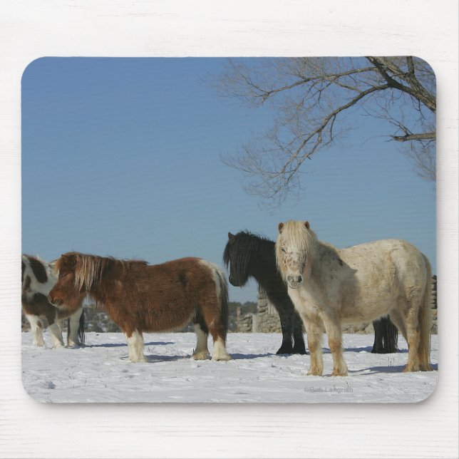 Group of Miniature Horses in the Snow Mouse Pad (Front)