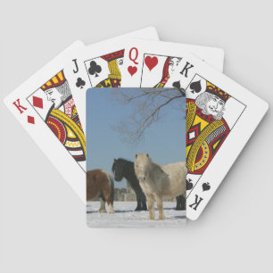 Group of Miniature Horses in the Snow Playing Cards