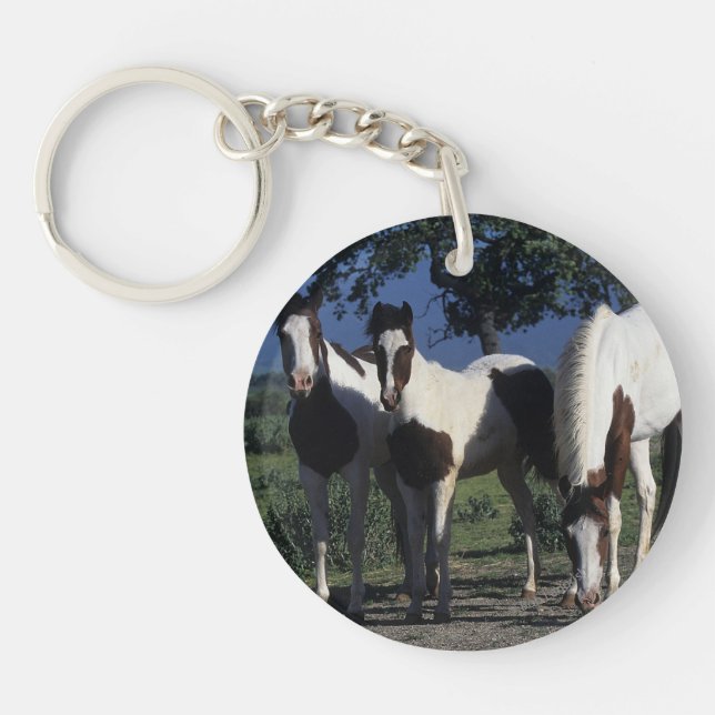 Group of Paint Horses Keychain (Front)