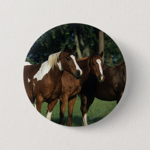 Group of Paint Horses Standing 2 Inch Round Button