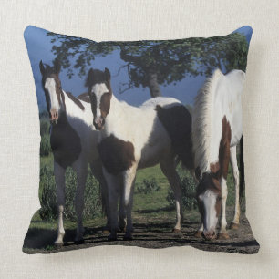 Group of Paint Horses Throw Pillow