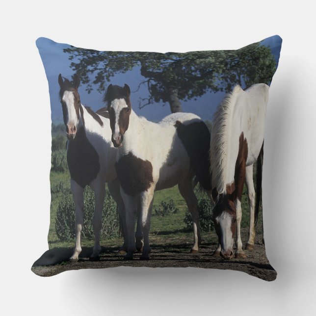 Group of Paint Horses Throw Pillow (Front)