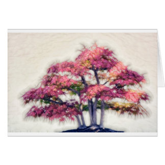 Group of Painterly Bonsai Maple Trees