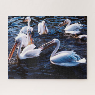 Group of Pelicans, Jigsaw Puzzle