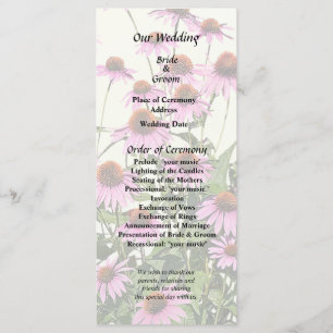 Group of Pink Coneflowers Program
