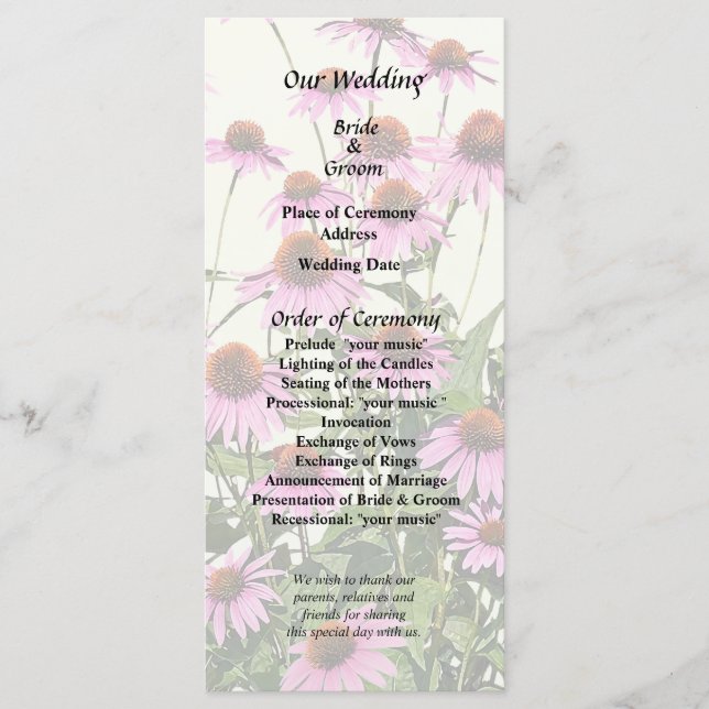 Group of Pink Coneflowers Program (Front)