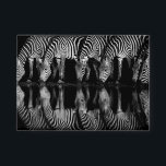 Group of Plains Zebra Drink Together at Night<br><div class="desc">Africa,  East Africa,  Kenya,  Great Rift Valley,  Olkirimatian Conservancy,  plains zebra,  Equus quagga.  A group of plains zebra drink together at night.  B & W</div>
