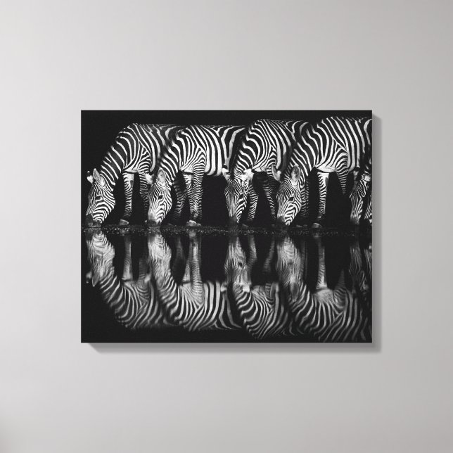 Group of Plains Zebra Drink Together at Night Canvas Print (Front)