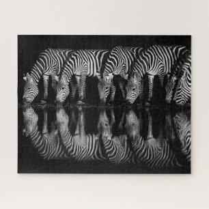 Group of Plains Zebra Drink Together at Night Jigsaw Puzzle