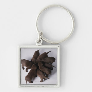 Group of puppies with heads together keychain