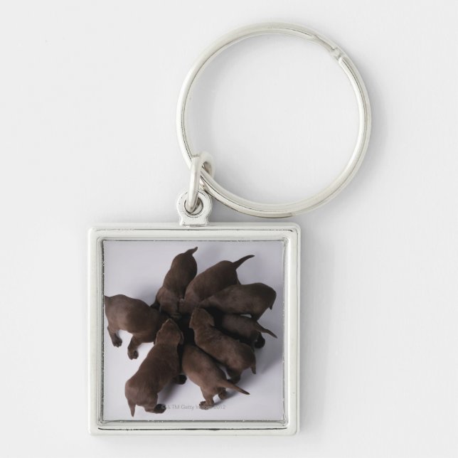 Group of puppies with heads together keychain (Front)