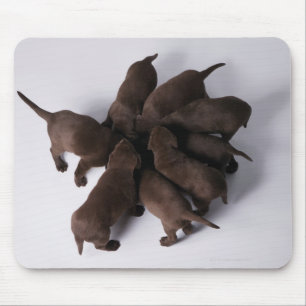 Group of puppies with heads together mouse pad