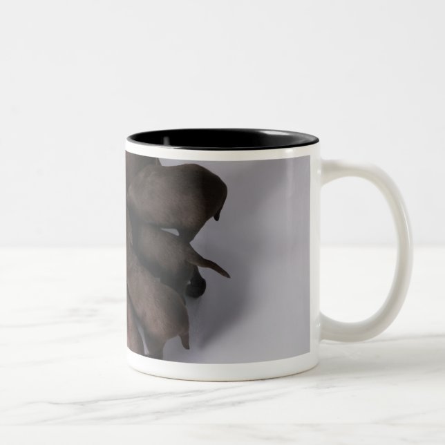 Group of puppies with heads together Two-Tone coffee mug (Right)