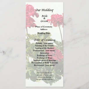 Group of Red Geraniums Program