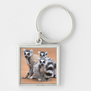 Group of Ring-Tailed Lemurs Keychain