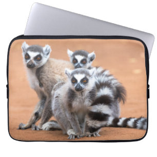 Group of Ring-Tailed Lemurs Laptop Sleeve