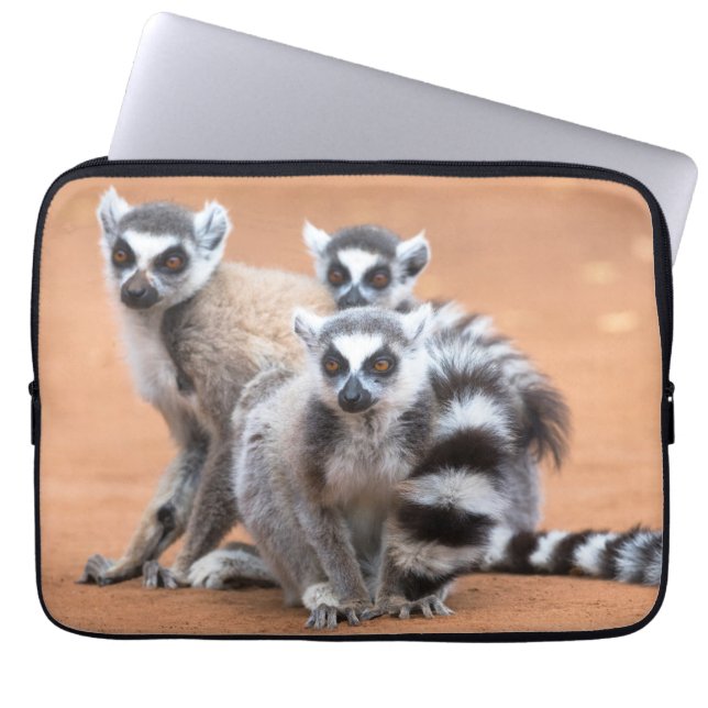 Group of Ring-Tailed Lemurs Laptop Sleeve (Front)