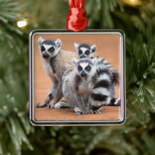 Group of Ring-Tailed Lemurs Metal Ornament