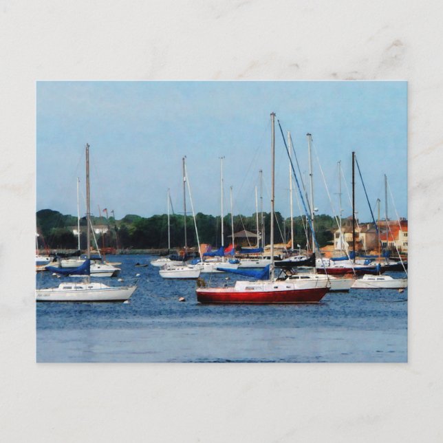 Group of Sailboats Newport RI Postcard (Front)