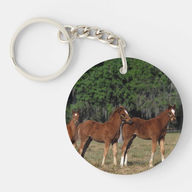Group of Thoroughbred Foals Keychain (Front)
