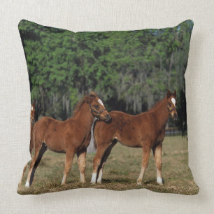 Group of Thoroughbred Foals Throw Pillow