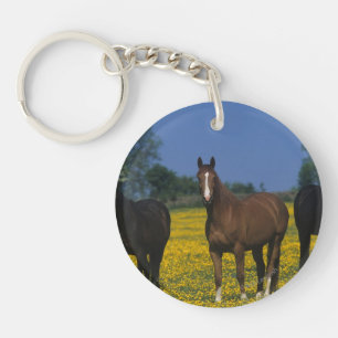 Group of Thoroughbred Horses Keychain