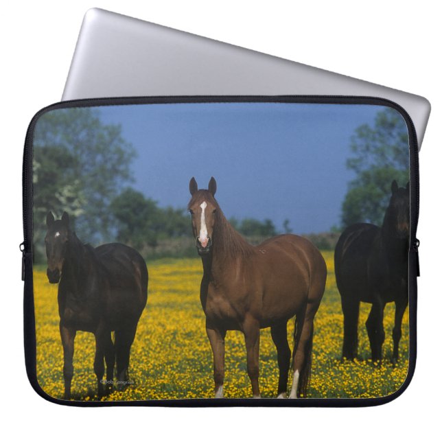 Group of Thoroughbred Horses Laptop Sleeve (Front)