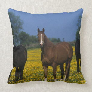 Group of Thoroughbred Horses Throw Pillow