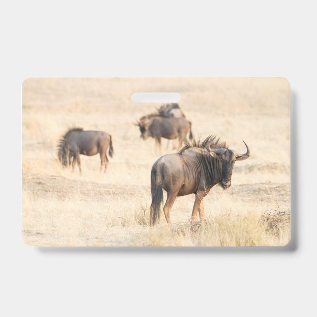 Group of wildebeest badge (Front)