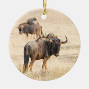 Group of wildebeest ceramic ornament