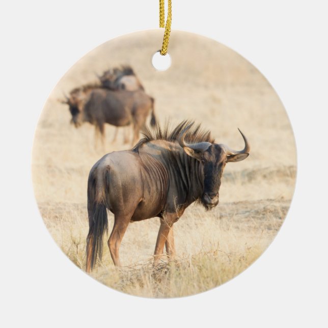 Group of wildebeest ceramic ornament (Front)