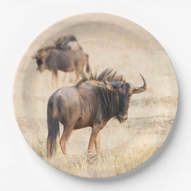 Group of wildebeest paper plate (Front)